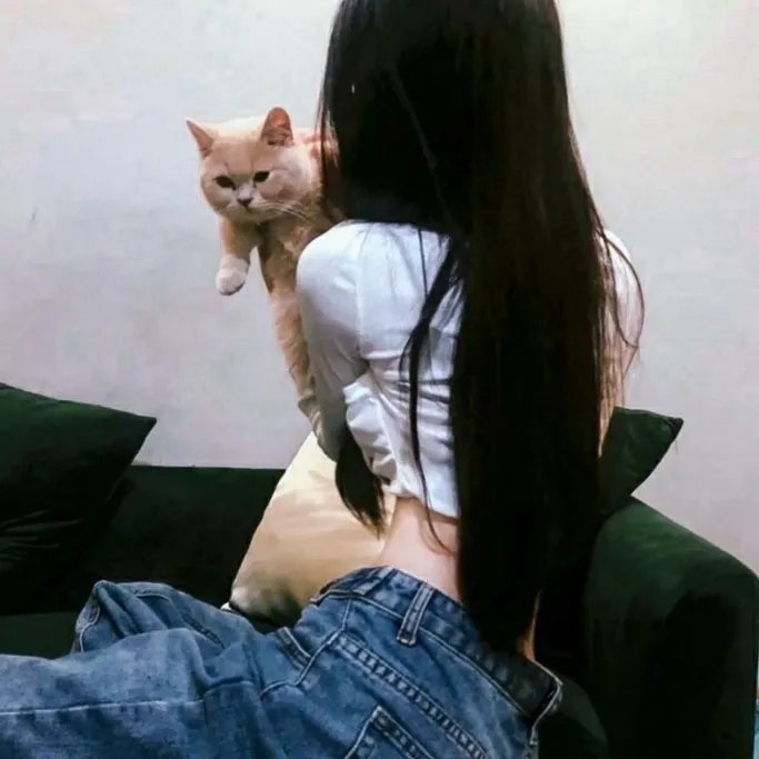 扑朔迷离